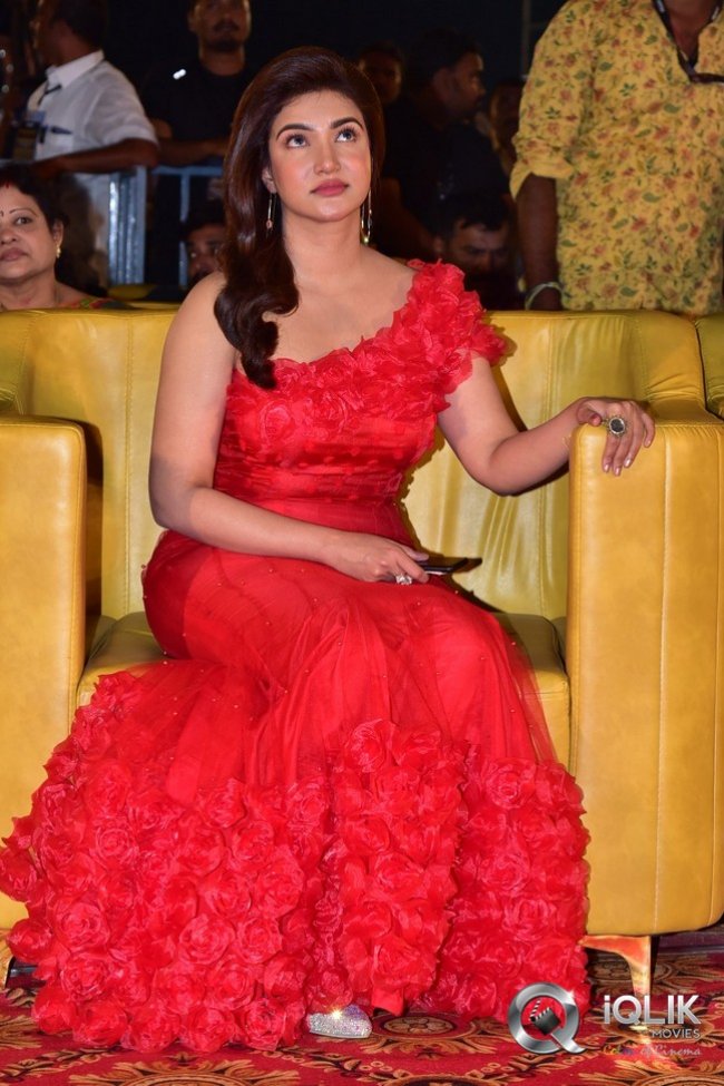 VeeraSimhaReddy-Pre-release-event